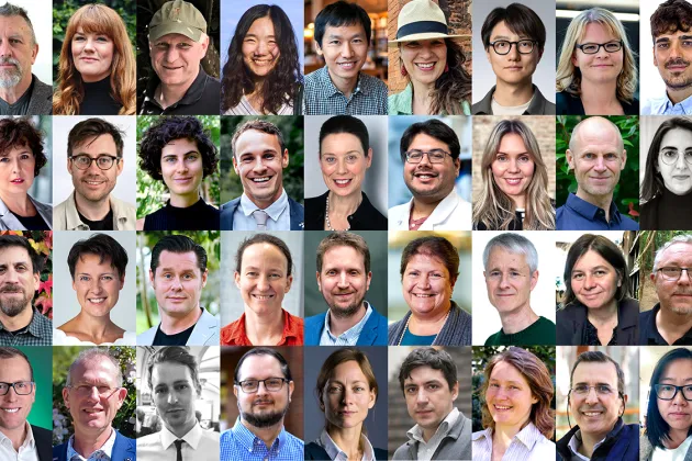 Lund University Programme for Global Excellence 2025