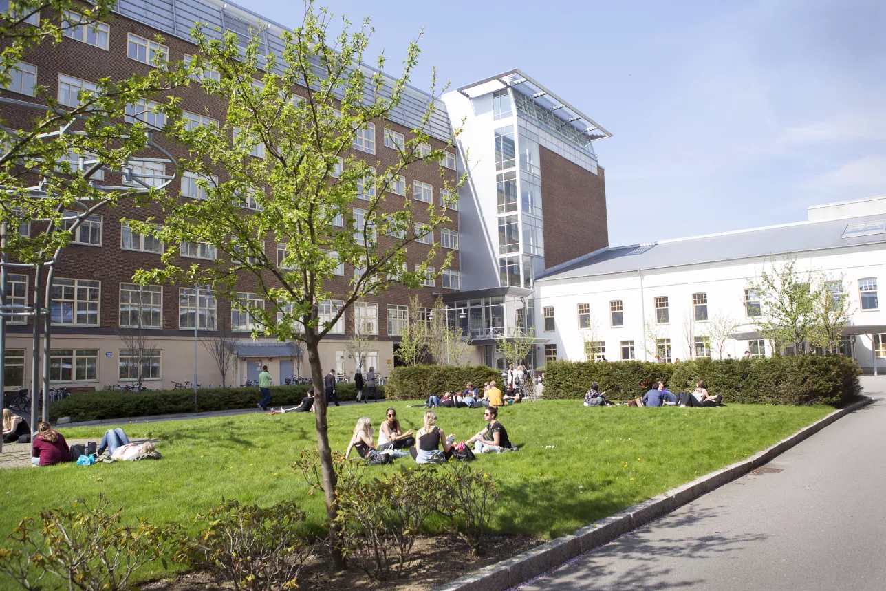 Studenter sittandes i gräset utomhus i solen på Campus Helsingborgs innergård. Foto.
