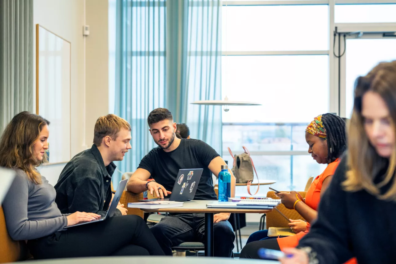En grupp studenter pluggar tillsammans. Foto.